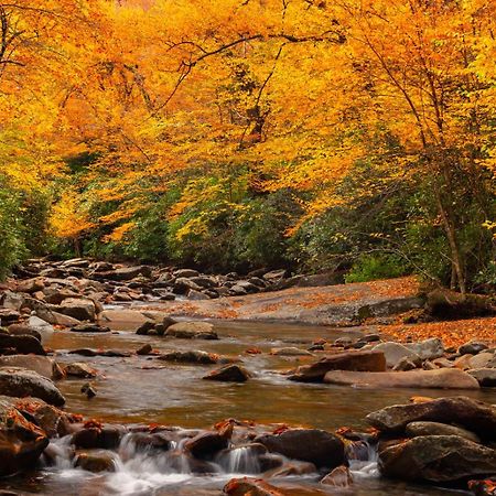 Romantic, Honeymoon Cabin In The Smokies! Gatlinburg Esterno foto