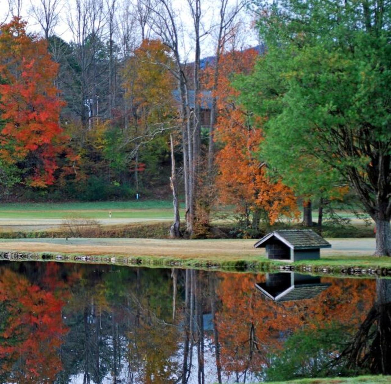 Romantic, Honeymoon Cabin In The Smokies! Gatlinburg Esterno foto
