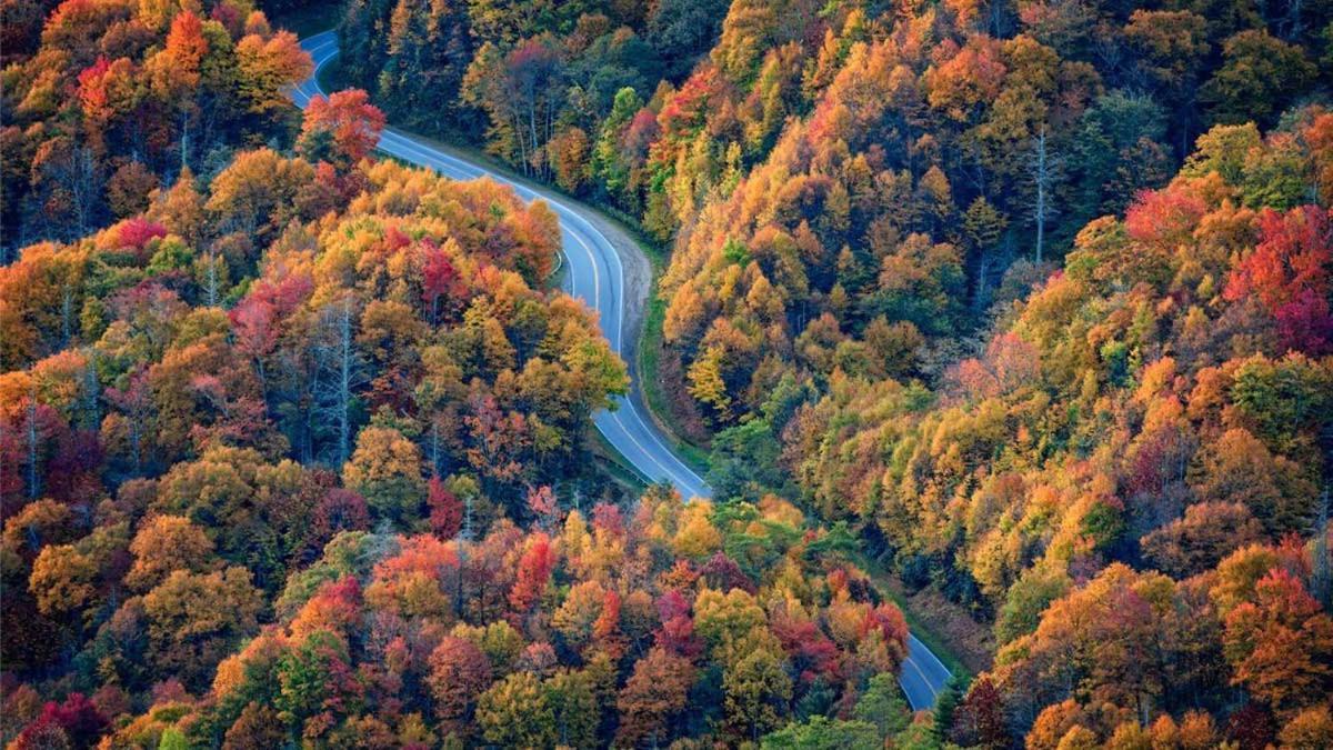 Romantic, Honeymoon Cabin In The Smokies! Gatlinburg Esterno foto